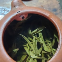 白茶，毛茶