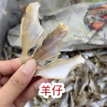 淡干扒皮鱼干剥皮小鱼干剥皮鱼干地摊电商批发羊仔迪仔干鱼干