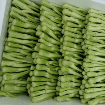 广东菜心