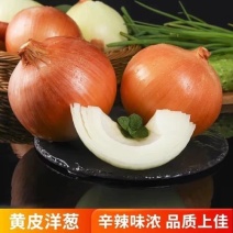 【推荐】优质黄皮洋葱，产地一手发全国！质量三包！