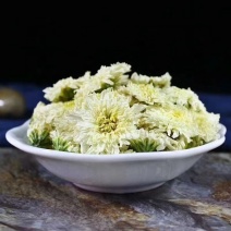 黄山贡菊