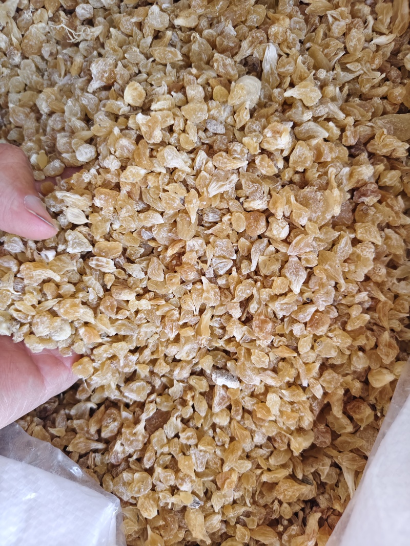 薤白中药材薤白新鲜薤白头干货正品薤白批发零售