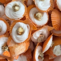 粉丝扇贝黄金贝海鲜自助烧烤食材