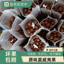 云南开口原味夏威夷果澳洲坚果送开口器0添加无干燥剂一级货