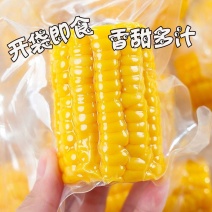 生产开袋即食水果玉米，工厂云南，可一件代发