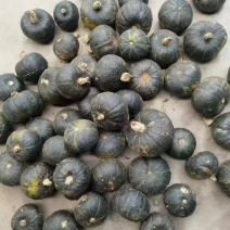 贝贝南瓜优质好货产地直发价格实惠可视频看货量大从优