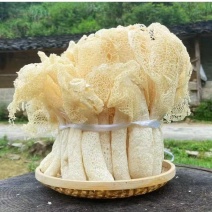 竹荪