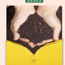 非转基因菜籽油
