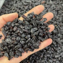 黑加仑葡萄干水洗黑加仑免洗黑加仑葡萄干小颗粒黑加仑