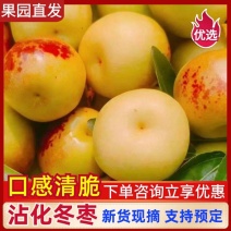 沾化冬枣产地供应量大从优质量保证诚信经营欢迎咨询