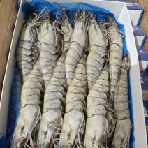 黑虎虾800克20头