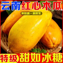 【超甜】云南红心木瓜批发价牛奶冰糖心木瓜牛奶整箱当季水果木瓜