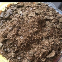菜籽榨完油渣供应各种饲料