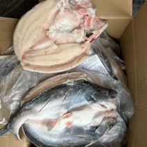 腌制开背巴沙鱼，700/900900/1100