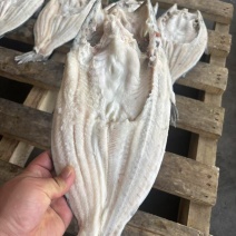 干冰开背巴沙鱼