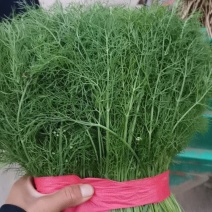 精品通货大量有货