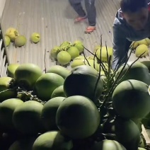 椰子