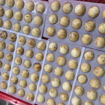 章鱼小丸子20克，30克