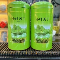 独芽小叶苦丁