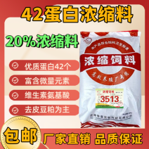 42蛋白猪用浓缩饲料中大猪育肥用浓缩料增肥长肉拉大骨架厂