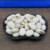 白刀豆中药材白刀豆大白大刀豆关刀豆刀鞘豆马刀豆新