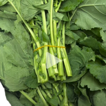 狮山油菜薹