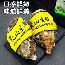 极速发货正宗乳山生蚝鲜活生蚝牡蛎带壳海蛎子海鲜水产贝类一整箱