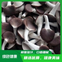 河北基地直发秀珍菇好白净秀珍菇保质保量供货对接全国