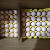 粉蛋精品蛋大码黄心批量走车欢迎电话咨询