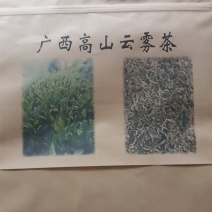 广西高山云雾茶