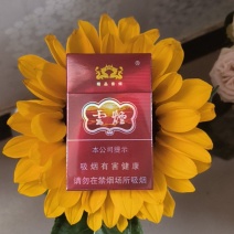 向日葵，云南鲜花产地直发愿我们像向日葵一样，永远阳光明亮