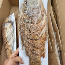 油炸大鲤鱼现货供应