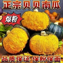 山东临沂贝贝南瓜，粉糯香甜，皮薄肉厚，支持一件代发