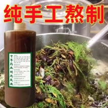 中药洗头液侧柏叶皂角何首乌中草药洗头护发去屑防脱头皮护理