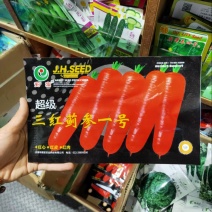 胡萝卜种子生长期95天左右中早熟根色橙红肉质细嫩