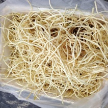 鱼腥草折耳根