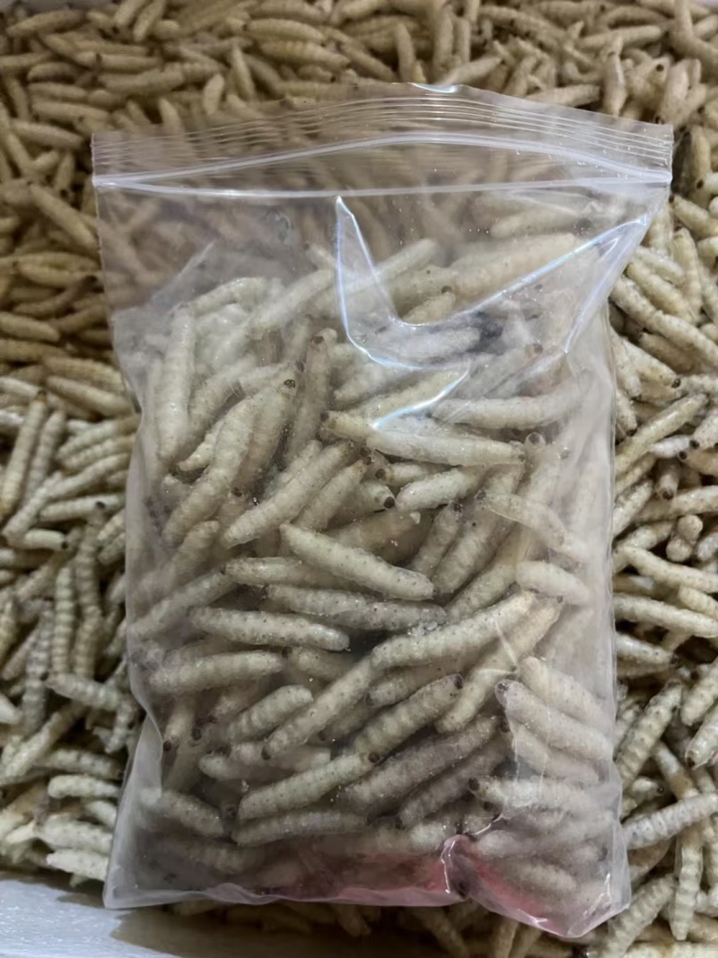 干水熟冻小竹虫来自森山老林别具一味的竹香美味可口