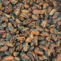 海虹干