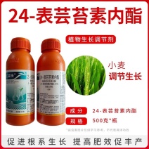 24表芸苔素内酯植物生长调解剂生根丰产