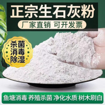 生石灰粉消毒杀菌防虫净化水质改良土壤树木刷白防霉除湿
