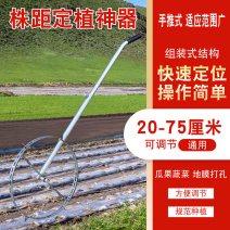 定植株距神器烤烟定距齿蔬菜育苗大棚瓜苗量距定植滚动测