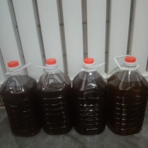 油菜籽
