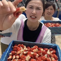 精品龙虾尾