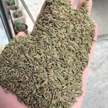 精品净度好