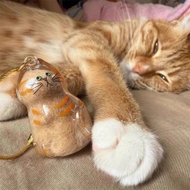 透明猫毛收纳盒收藏扭蛋猫咪毛发存放吊饰胶囊扭蛋包钥匙扣挂件