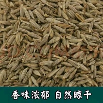 新疆颗粒孜然