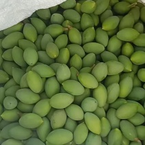 青橄榄偏涩制作橄榄菜腌制