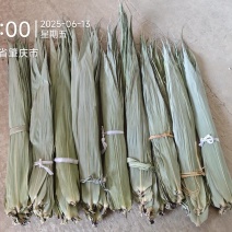 广东干粽叶