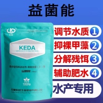 益菌能鱼虾蟹塘黑水老绿水降氨氮亚盐水产养殖专用调水肥水