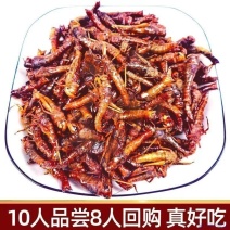 【冲量热卖】山东特产新鲜油炸蚂蚱五香即食香辣油炸蝗虫下酒菜